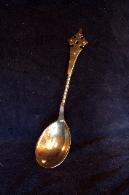 Sugar Shell Spoon